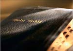 7th Day Truth Seeker